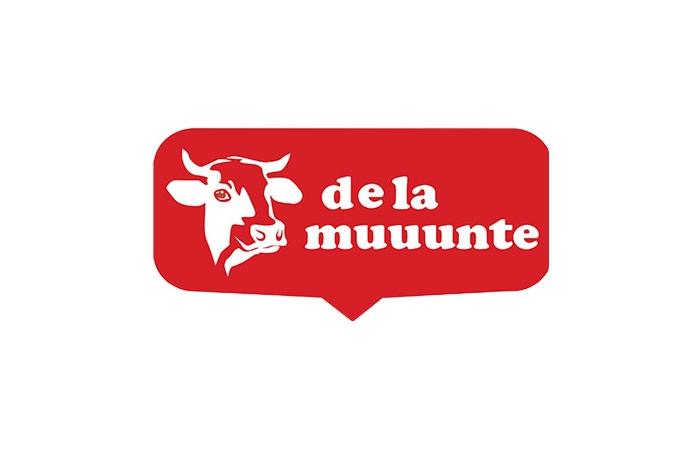 DE LA MUUUNTE - BRÂNZETURI